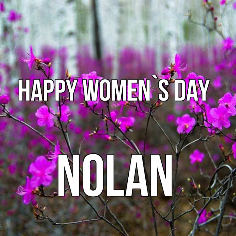 Greetings card с именем, Nolan happy women`s day дикие цветы Greetings with text for free download 